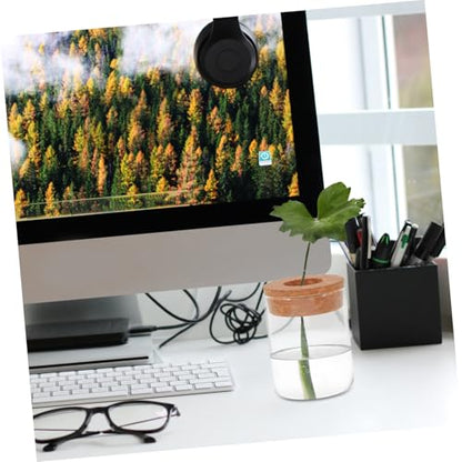 Mikikit 2pcs Glass Hydroponic Terrarium Jar for Indoor Plant Growth Decorative Ecosystem Container Home Office Desk Decor