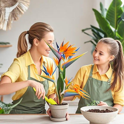 Organic Bird of Paradise Potting Soil Mix 1qt, Ideal for Indoor/Outdoor Potted Plants, Promotes Optimal Growth for Bird of Paradise - size: 1qt