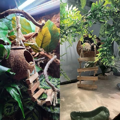 5PCS Coconut Hut for Gecko, Lizard Coco Den with Ladder and Reptile Hammock Bearded Dragon Tank Accessories Climbing Hanging Plants Jungle Vine Flexible Reptile Leaves Decor - style: 【Style A】