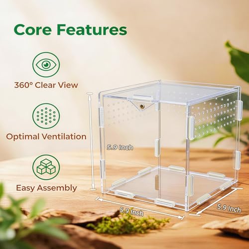 Portable Acrylic Jumping Spider Terrarium 5.9" Cube for Spider, Mantis | Ventilated design; secure magnetic lock closure. Designed for small reptiles & insects. Lightweight for travel and display - size: 5.9×5.9×5.9 Inch