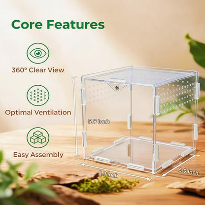 Portable Acrylic Jumping Spider Terrarium 5.9" Cube for Spider, Mantis | Ventilated design; secure magnetic lock closure. Designed for small reptiles & insects. Lightweight for travel and display - size: 5.9×5.9×5.9 Inch