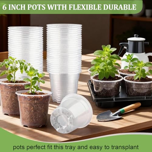 RooTrimmer 30 Pack 6 Inch Clear Nursery Pots and 5 Pack 6 Cell Round Plant Pot Trays, Sturdy Seeds Starting Germination Shuttle Carrying Trays, Planter Nursery Propagation 5 Sets - color: Black + Clear, size: 6 Inch 30 Pack Pots With 5 Pack Trays