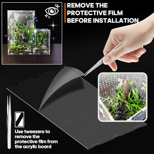 Acrylic Jumping Spider Habitat, Insect Terrarium, Bug Enclosure, Praying Mantis Habitat, Frog Enclosure - size: Small