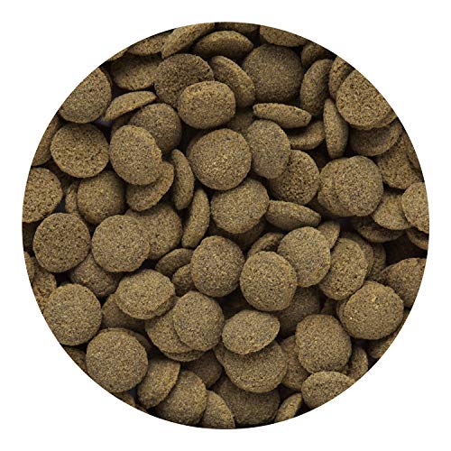 Hikari Tropical Sinking Wafers Fish Food, 0.88 oz (25g) - color: Black, size: 0.88 Ounce (Pack of 1)