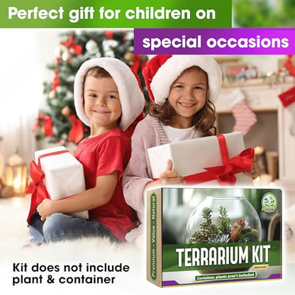 All-in-One DIY Terrarium Starter Kit for Air Plant & Succulent | Includes Potting Soil, Pumice, Zeolite, Green Moss, Sphagnum Moss, Decorative Stone, Mesh, Tools & Guide - size: Terrarium Kit