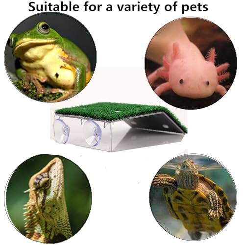 alfyng Turtle Resting Basking Platform Simulation Grass Turtle Ramp, Lawn Tortoise Climbing Ladder Resting Terrace for Reptile Frog Terrapin Amphibian - Medium - size: Medium