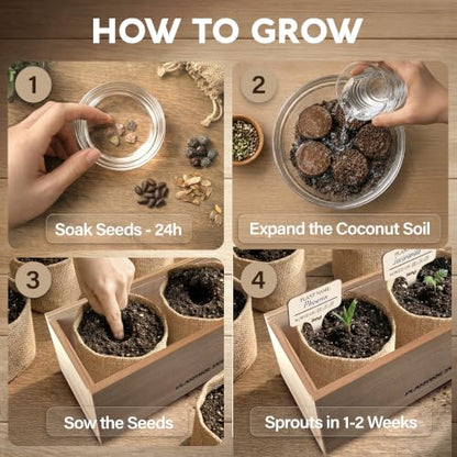 Bonsai Tree Kit Deluxe - Growing 5 Unique Japanese Bonzai Trees | Complete Indoor Bonsai Starter Kits for Growing Trees – Plant Lovers Gifts for Women & Men