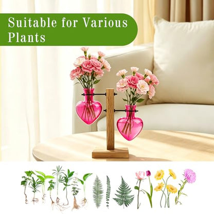 XXXFLOWER Plant Propagation Station Terrarium 2 Pink Heart Shaped Vase | Terrarium Kit Bulb Glass Metal Desk Plant Holder, Retro Air Plants Water Plants, Home Office Decoration - color: Pink