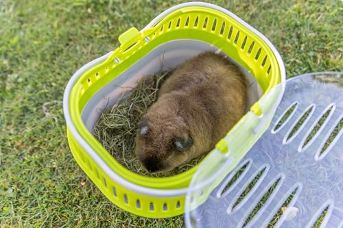 Trixie Pico Transport Crate - Portable Pet Carrier Great for On-The-Go - Traveling Cage for Small Pets, Hamsters, Guinea Pigs, Lizards, and More | Portable Pet Carrier, Ideal for On-The-Go, Traveling Cage for Small Pets, Hamsters, Guinea Pigs, Lizards - s
