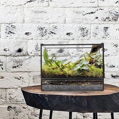 Happyyami Glass Terrarium Micro Landscape Container for Indoor Desktop Ecosystem Moss Planter Small Geometric Glass Holder 145x80x195mm Suitable for Succulent and Moss Gardening