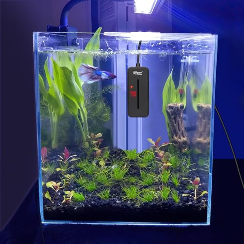 hygger Small Submersible Aquarium Heater 100W Mini Betta Fish Tank Heater with LED Display Adjustable Temperature for 10-20 Gallon Freshwater Saltwater Coral Reef Tanks - size: Medium