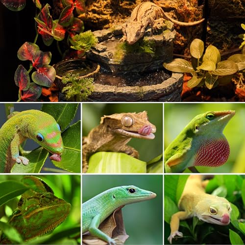 REPTI ZOO Reptile Water Fountain with Food Dish, 550ML Terrarium Waterfall Drinking Fountain for Bearded Dragon Gecko Chameleon Lizard Tree Frog Turtle, Reptile Water Dispenser, Keep Water Clear