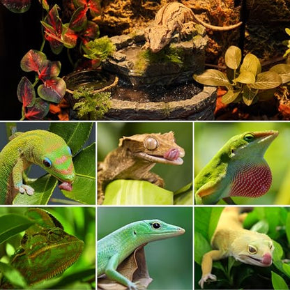 REPTI ZOO Reptile Water Fountain with Food Dish, 550ML Terrarium Waterfall Drinking Fountain for Bearded Dragon Gecko Chameleon Lizard Tree Frog Turtle, Reptile Water Dispenser, Keep Water Clear