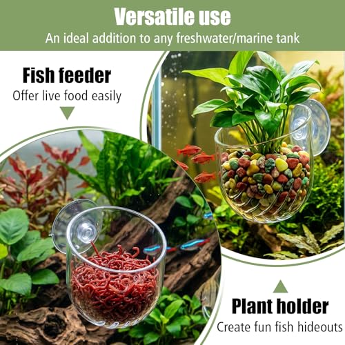 3 Pcs Aquarium Plant Holder for Java Fern Live Plant for Aquarium Suction Cup Clear Acrylic Fish Tank Aquascape for Moss Balls Marimo Betta Shrimp Decor Accessories Anubias Java Moss Cup