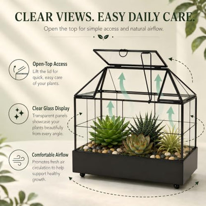 Large Tall Plant Terrarium Glass – Glass Greenhouse Terrarium with Lid and Tray,Indoor Tabletop Orchid Succulent Cacti Terrarium Kit 9.5”X9.8”X5.6”