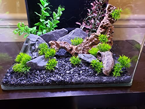 Natural Slate Stone 5 to 7 Inches - USA Sourced and Packaged for Aquascaping Aquariums, Terrariums, Paludariums, Reptile Enclosures, and Gardens (10lbs) - size: 10 lbs