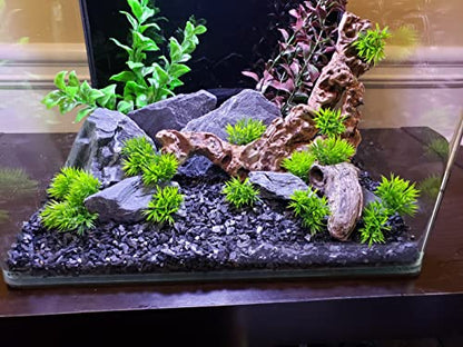 Natural Slate Stone 5 to 7 Inches - USA Sourced and Packaged for Aquascaping Aquariums, Terrariums, Paludariums, Reptile Enclosures, and Gardens (10lbs) - size: 10 lbs