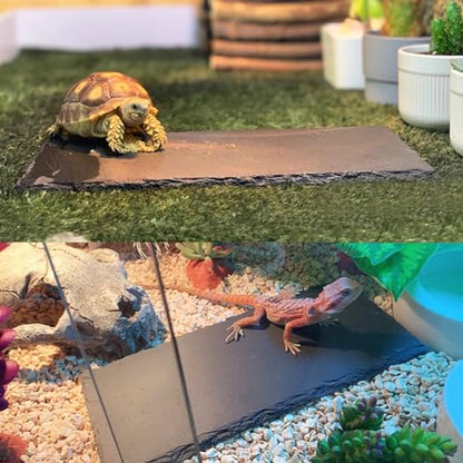 Reptile Basking Platform Tortoise Rock Plate 9.8’’x4.7’’ Feeding Food Bowl Slate Dish Turtle Bathing Resting Terrace for Lizard Bearded Dragon Chameleon Gecko Snake Frog Newt - size: 9.8x4.7inch-rectangle(1pcs)