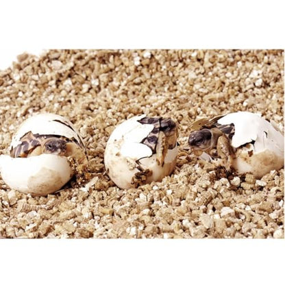 Reptile Feeding Box Turtle Transport Breeding Box Egg Incubator Container with 1.1lb Reptile Substrate Vermiculite Bedding for Snake Tortoise Lizard Hatching Eggs
