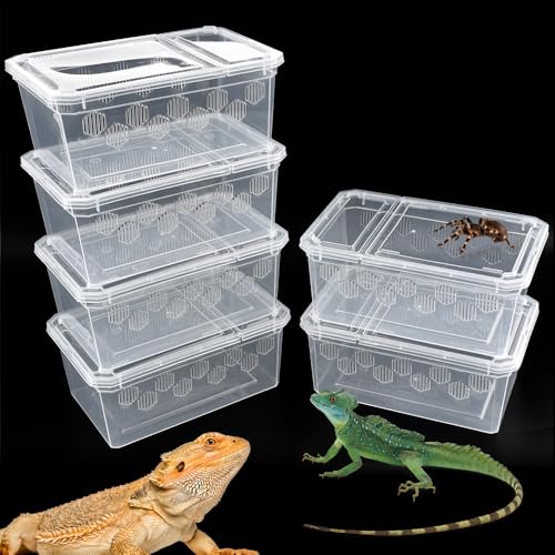 6 Pack Reptile Feeding Box Breeding Box Transparent Hatching Container Plastic Feeding Box for Small Reptiles Amphibians Spiders Scorpions Geckos Tortoises Treefrogs (Small Size)
