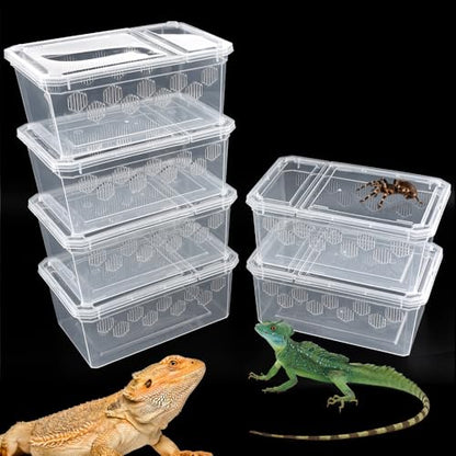 6 Pack Reptile Feeding Box Breeding Box Transparent Hatching Container Plastic Feeding Box for Small Reptiles Amphibians Spiders Scorpions Geckos Tortoises Treefrogs (Small Size)