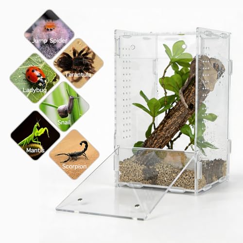 5x5x8 Acrylic Reptile Enclosure - Clear Small Pet Terrarium | Distortion-free all-acrylic build with top and side ventilation for clear observation - size: 5"5"8"
