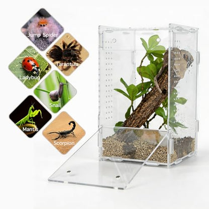 5x5x8 Acrylic Reptile Enclosure - Clear Small Pet Terrarium | Distortion-free all-acrylic build with top and side ventilation for clear observation - size: 5"5"8"