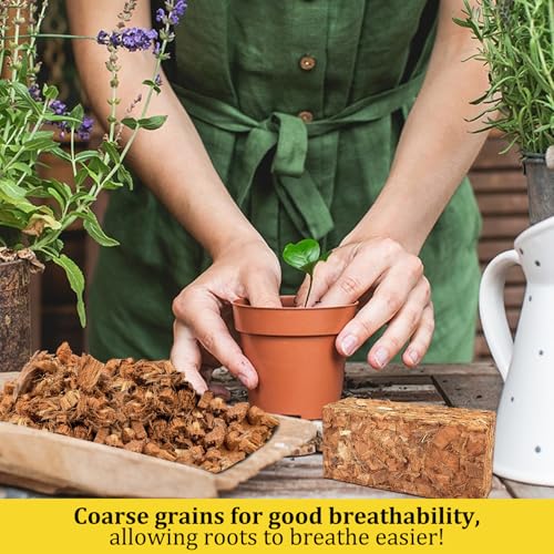 Riare 6 Pack Organic Coco Coir Chips for Plants, 6.6 lb Coconut Husk Bricks | Low EC & pH-Balanced Coco Husk Substrate with Drainage & Aeration, High-Expansion Mulch for Landscaping, Orchids & Soil Mix - size: 6 Pack