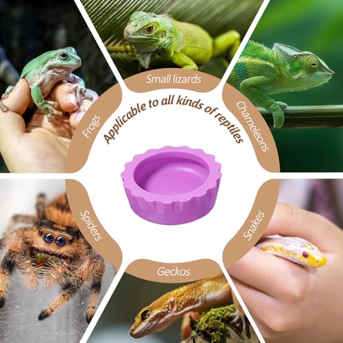 7PCS Silicone Crested Gecko Food Dish and 2PCS Stirred Feedings Stick | Colorful Water Bowl Reusable Small Reptile Feeding Dish for Crab Reptile Tanks Terrarium Accessories Crested
