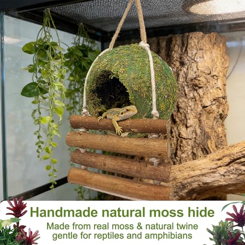 Handmade Moss Reptile Hanging Nest 4 Pcs Set, Small 4″ x 4″ | Gecko Hideout with Ladder, Terrarium Decor for Crested Gecko, Leopard Gecko, Lizard, Small Reptiles & Amphibians - size: Small 4″ x 4″
