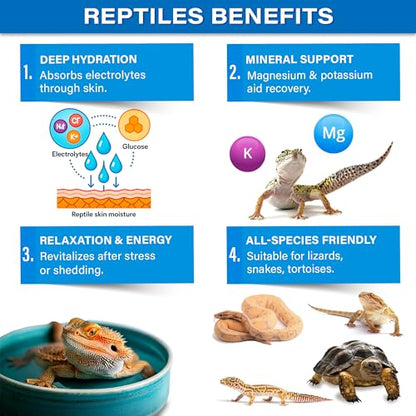 Gargeer Premium ReptiSoak Electrolytes SOAK for Reptiles | Hydration & Recovery Bath Powder for Bearded Dragons, Geckos, Lizards, Tortoises | Electrolyte Reptile Supplement | Made in USA. Enjoy!