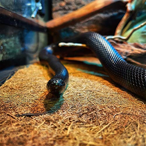 Hamiledyi Reptile Carpet Mat 19.7x11.8in Coconut Fiber Substrate Lizard Cage Pad Tortoise Substrate Liner Snake Coco Liner for Bearded Dragon Gecko Turtle Chamelon Iguana