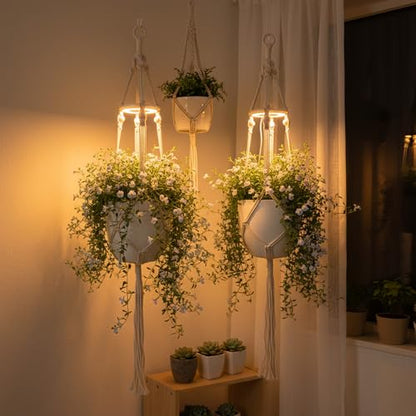 2 Pack Hanging Plant Grow Lights for Indoor Plants with Timer, Wall Mounted Full Spectrum Pendant Growing Light with Macrame Plant Hanger, Ceiling LED Planta Luz for Potted Plants Home Decor - size: 2 Pack