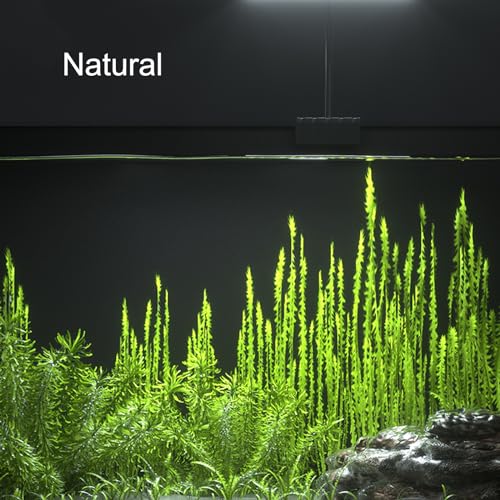 Carefree Fish Aquarium LED Light USB 5V1A RGBW 5730 Timmer 5~20Gal Fish Tank Clip Light 10 Brightness Levels 13W with USB Port (Include UL Certification Power Adapter)