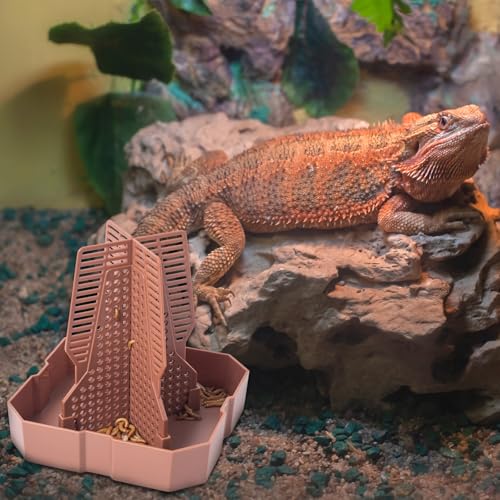 Reptile Feeder Bowls with Climbing Ladder for Chameleon,Bearded Dragon,Guardians Hunting Bugs Keep Training Terrarium Bowls for Lizards,Frogs,Geckos Other Small Pets,Brown (Large)