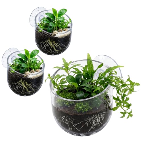 3 Pcs Aquarium Plant Holder for Java Fern Live Plant for Aquarium Suction Cup Clear Acrylic Fish Tank Aquascape for Moss Balls Marimo Betta Shrimp Decor Accessories Anubias Java Moss Cup