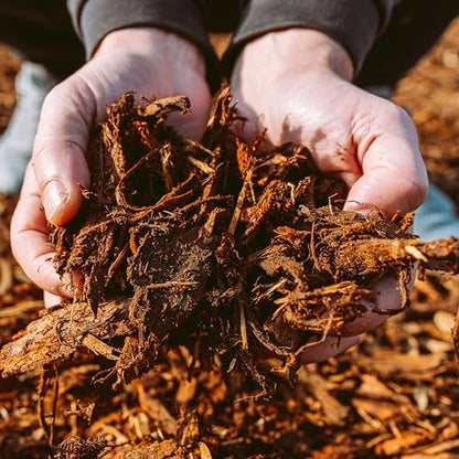 Premium Gold Wood Mulch for Landscaping, Gardens, Lawns, Potting Media, and Potted Plants (0.3 CF - 8 L - 9 QTS) - color: Gold Wood Mulch, size: 0.3 CF - 8 L - 9 QTS