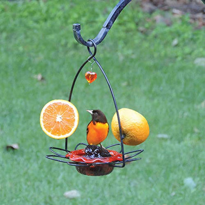 Birds Choice Flower-Shaped Oriole Feeder for Jelly & Oranges | 3oz, Orange | Removable Cup and Fruit Pegs with Heart Ornament, Sturdy for Garden and Backyard, Orange Finish - style: Flower