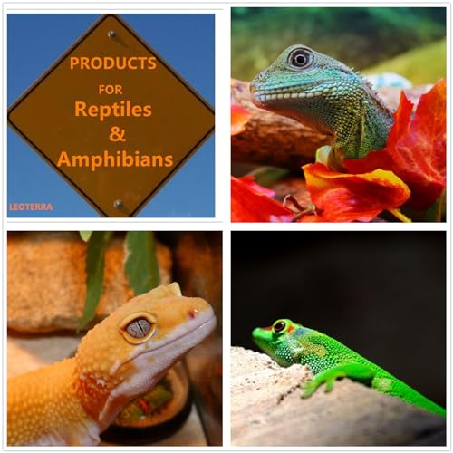 Leoterra Reptile UVB Light Bulb 26W 10.0, High Intensity UVB Light for Bearded Dragon, Veiled Chameleons & Adult Red-Eared Sliders in Large Terrarium, Powerful UVA UVB for Reptile - size: 26w 10.0