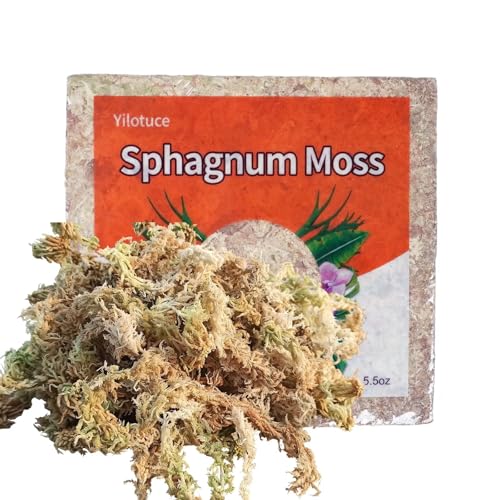 5.5oz Sphagnum Moss for Plants, Premium Compressed Sphagnum Moss for Orchids - size: 5.5 ounce