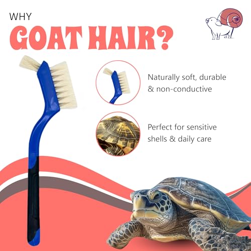 Turtle Cleaning Brush - Gently Remove Dirt from Turtles and Tortoises - Blue by Snout and Shell - color: Blue