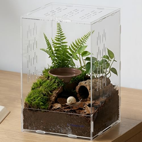 Acrylic Jumping Spider Enclosure, 7.48 x 7.87 x 11.81 in Clear Terrarium | Front-opening ventilated habitat for jumping spiders, small spiders and slow-moving invertebrates; clear acrylic display. - size: 7.48 x 7.87 x 11.81 inches（19x20x30cm）