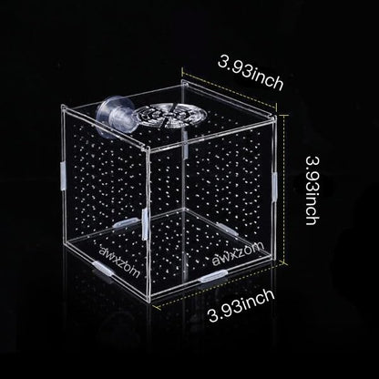 AWXZOM Acrylic Fish breeding Box, Acrylic Fish Isolation Box, Fish Separator for Aquarium, Hatchery Incubator with Suction Cups for Small Baby Fishes Shrimp Clownfish Guppy (3.9 * 3.9 * 3.9inch) - size: 3.9 * 3.9 * 3.9inch