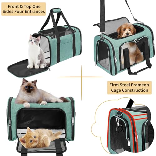 Soft-Sided Cat/Dog/Pet Carrier, Collapsible Pets Travel Carriers | For Big Cats/Small Dogs with Shoulder Strap & Removable Mat, Mesh Puppy Carry Bag,Up to 25 Lbs,TSA Airline Approved-Turquoise - color: Turquoise, size: 20"L x 13"W x 13"H