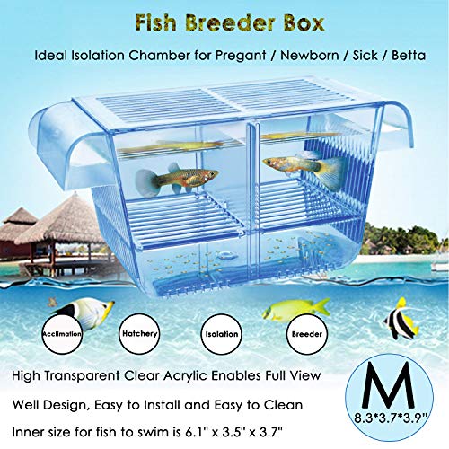 Cepetsma Fish Breeder Box - Hang-on Nursery Fish Tank With Breeding Hatchery, Perf for Aggressive & Injured Species - size: M