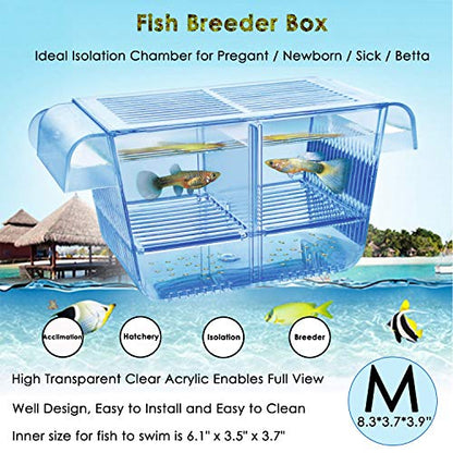 Cepetsma Fish Breeder Box - Hang-on Nursery Fish Tank With Breeding Hatchery, Perf for Aggressive & Injured Species - size: M