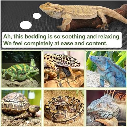 Reptile Carpet Safe Anti-Slip Easy to Clean | Terrarium Liner Bedding for 40-Gallon Feeders - color: L