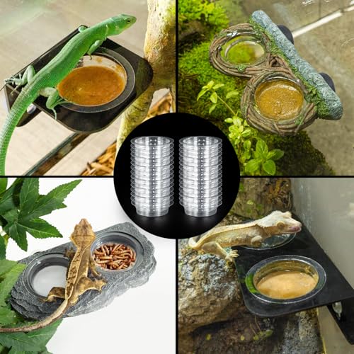 REPTIZOO 30PCS Feeding Cups for Reptile Magnetic Feeder Ledge, Replacement Cups for REPTIZOO Food Water Feeder Dish Gecko Feeding Ledge