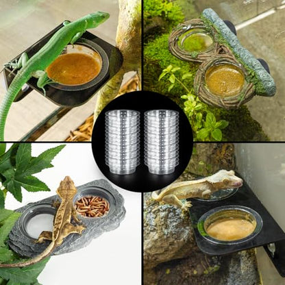 REPTIZOO 30PCS Feeding Cups for Reptile Magnetic Feeder Ledge, Replacement Cups for REPTIZOO Food Water Feeder Dish Gecko Feeding Ledge
