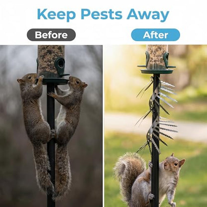 2m Anti-Bird/Squirrel Spikes & Squirrel Proof Baffle for Bird Feeders Pole | For Shepherd's Hooks, Outdoor Fence, Roofs, Tree & Drainpipes. Effectively Deterrent Pigeons, Raccoons, Snakes, Mice & Cats - size: Large-2M*10CM